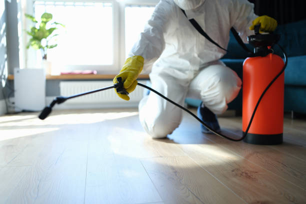 Reliable Blood Cleanup contractor in Pleasant Hill, TX by Crime Scene Cleaner Online